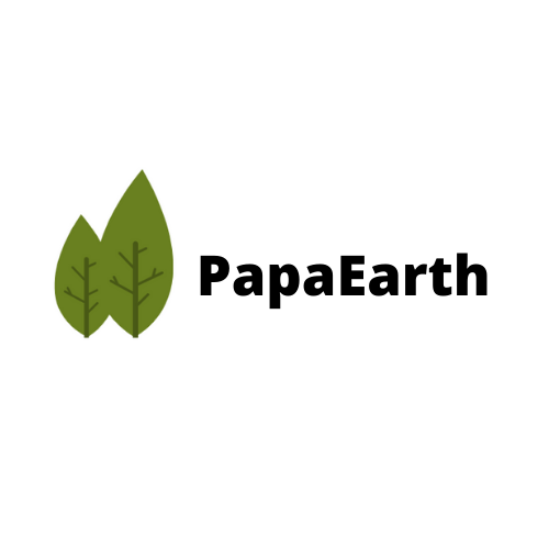 Papa Earth Icon